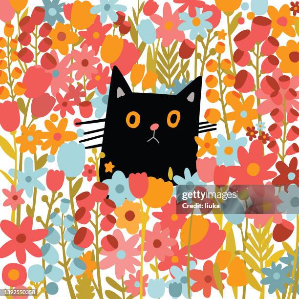 cat hiding in flowers - im sorry stock illustrations