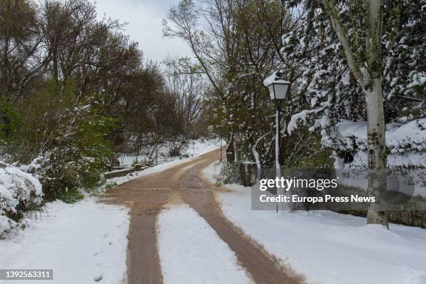 Street in Navacerrada with a layer of snow, on 20 April, 2022 in Navacerrada, Madrid, Spain. Madrid has activated the Winter Inclement Plan for snow,...