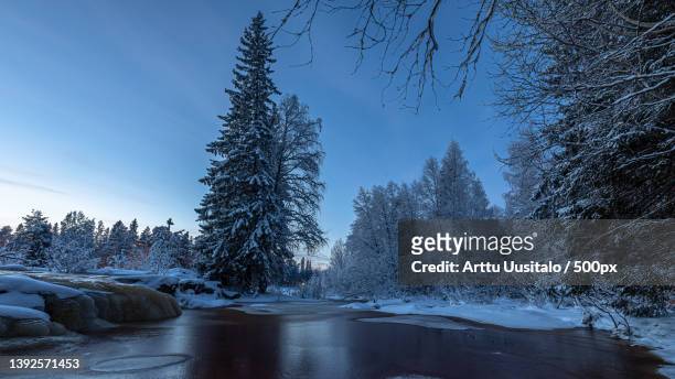 frosty riverside,scenic view of snow covered land against sky,koitelinkoskentie,kiiminki,finland - arttu stock pictures, royalty-free photos & images