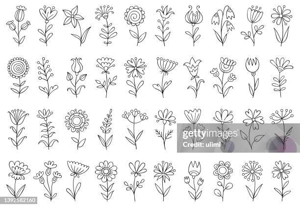 stockillustraties, clipart, cartoons en iconen met set of hand drawn flowers - zonnebloemen