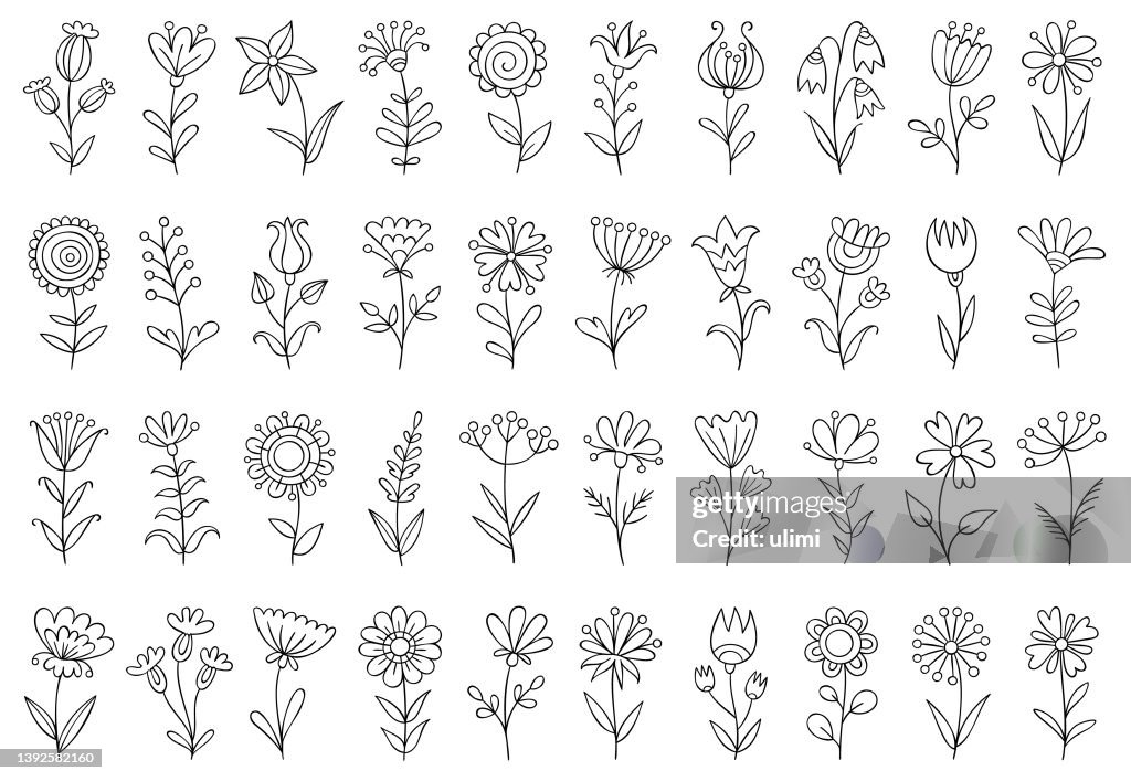 Set of hand drawn flowers