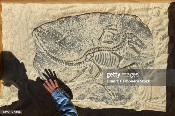 a child playing paleontologist. - archaeological science stockfoto's en -beelden