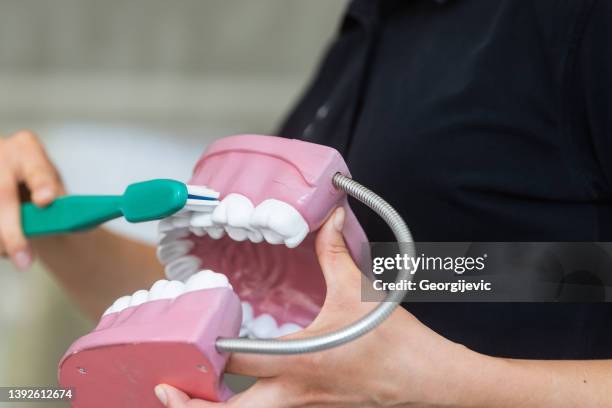 right way to brush your teeth - prophylaxie stock pictures, royalty-free photos & images