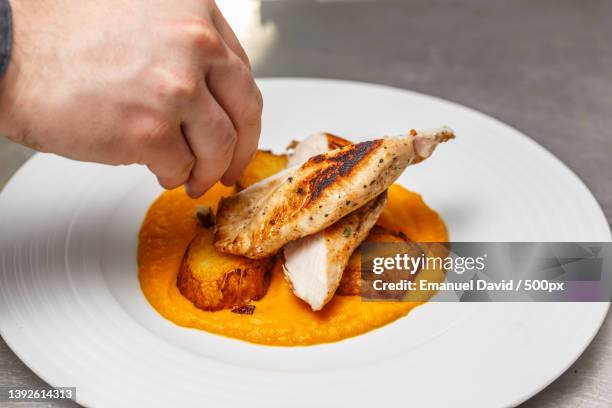 chicken breast steak,cropped hand of person holding food in plate - chicken decoration stock-fotos und bilder
