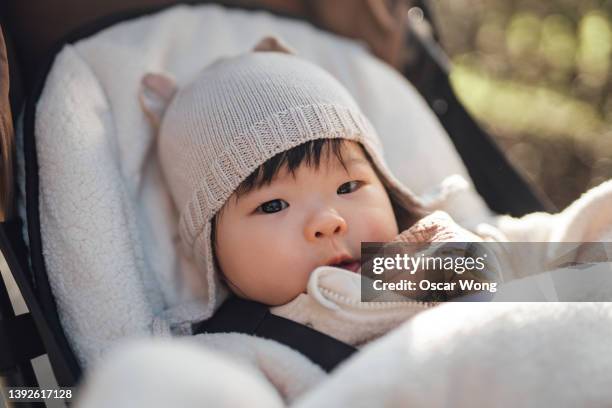 cute asian baby girl looking at camera while sitting in baby pushchair, feeling warm and cozy on a sunny day in winter - baby stroller imagens e fotografias de stock
