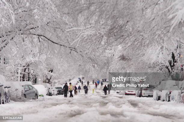 winter street scene - the ruts dc stock pictures, royalty-free photos & images