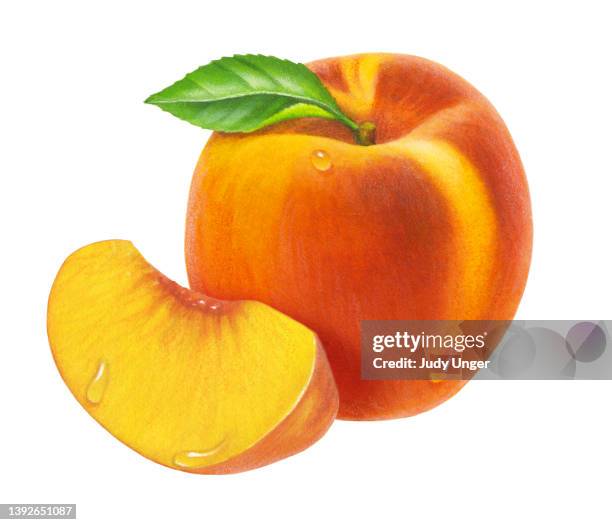 peach & wedge - photo realism stock illustrations