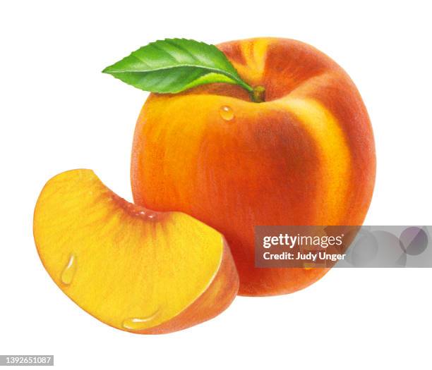 peach & wedge - peach on white stock illustrations