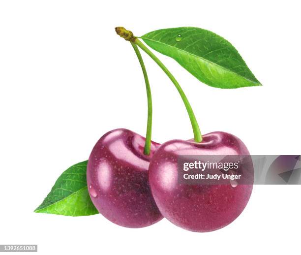 cherry pair - cherry isolated stock illustrations
