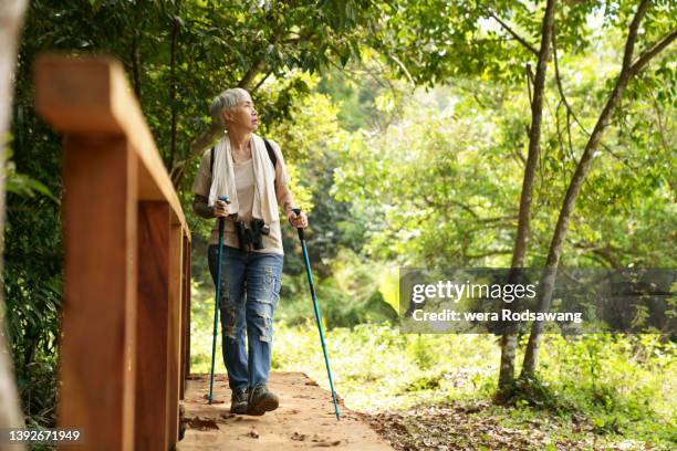 healthy elderly woman hiking in nature trails through the wood bridge, senior active lifestyle - jong van hart stockfoto's en -beelden