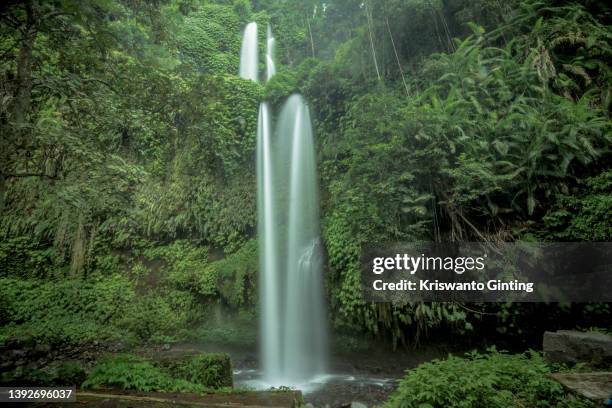 sendang gile waterfall in lombok - vulkan rinjani stock-fotos und bilder