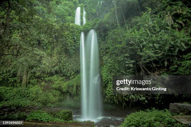 sendang gile waterfall in lombok - mount rinjani 個照片及圖片檔