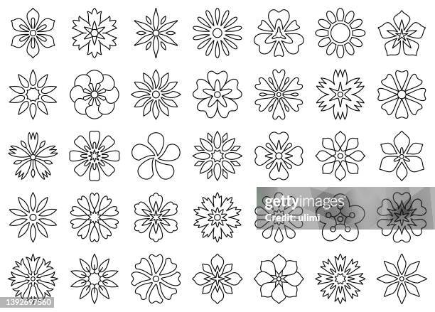 illustrazioni stock, clip art, cartoni animati e icone di tendenza di set di icone fiore - edelweiss