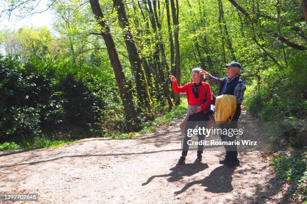 senior couple in springtime woodland, pointing - ambivere stock pictures, royalty-free photos & images