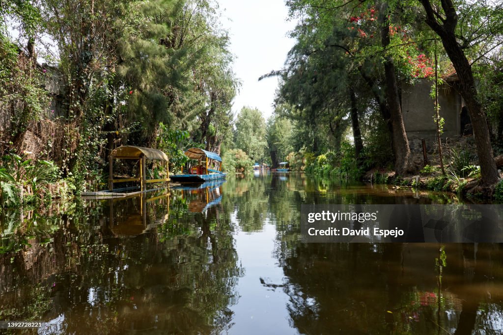 View of one of the canals of Xochimilco, a tourist attraction in Mexico City.