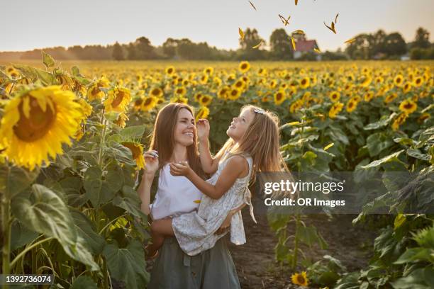 happy mother carrying daughter in a sunflower field - sonnenblume stock-fotos und bilder