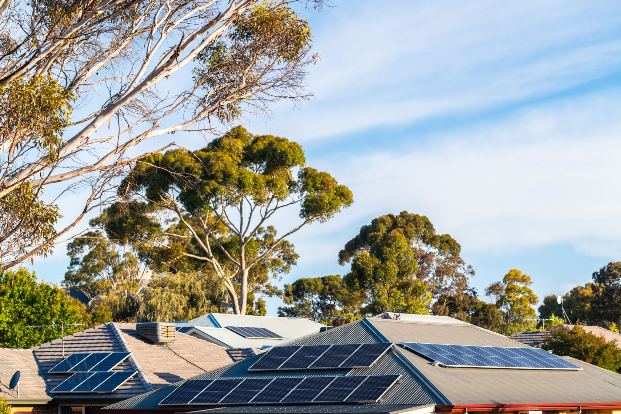 adelaide rooftops