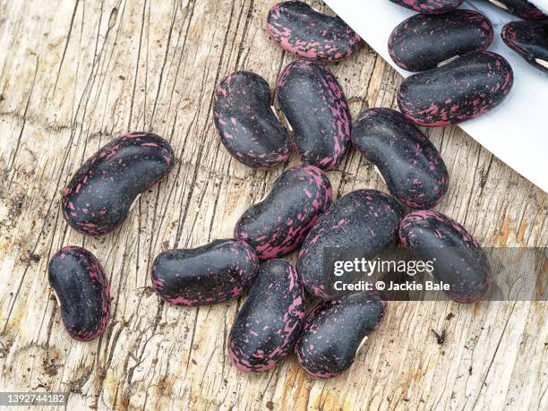 runner bean seeds - seed packet stock pictures, royalty-free photos & images