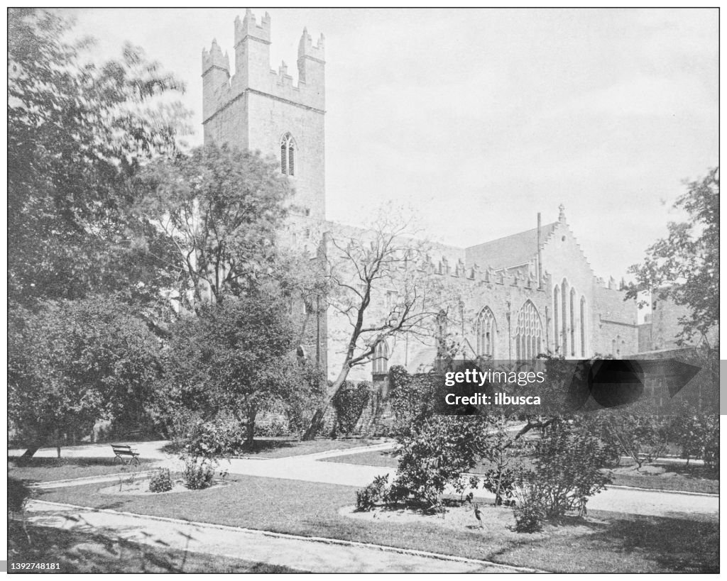Antique photograph of Ireland: St Mary's Cathedral, Limerick