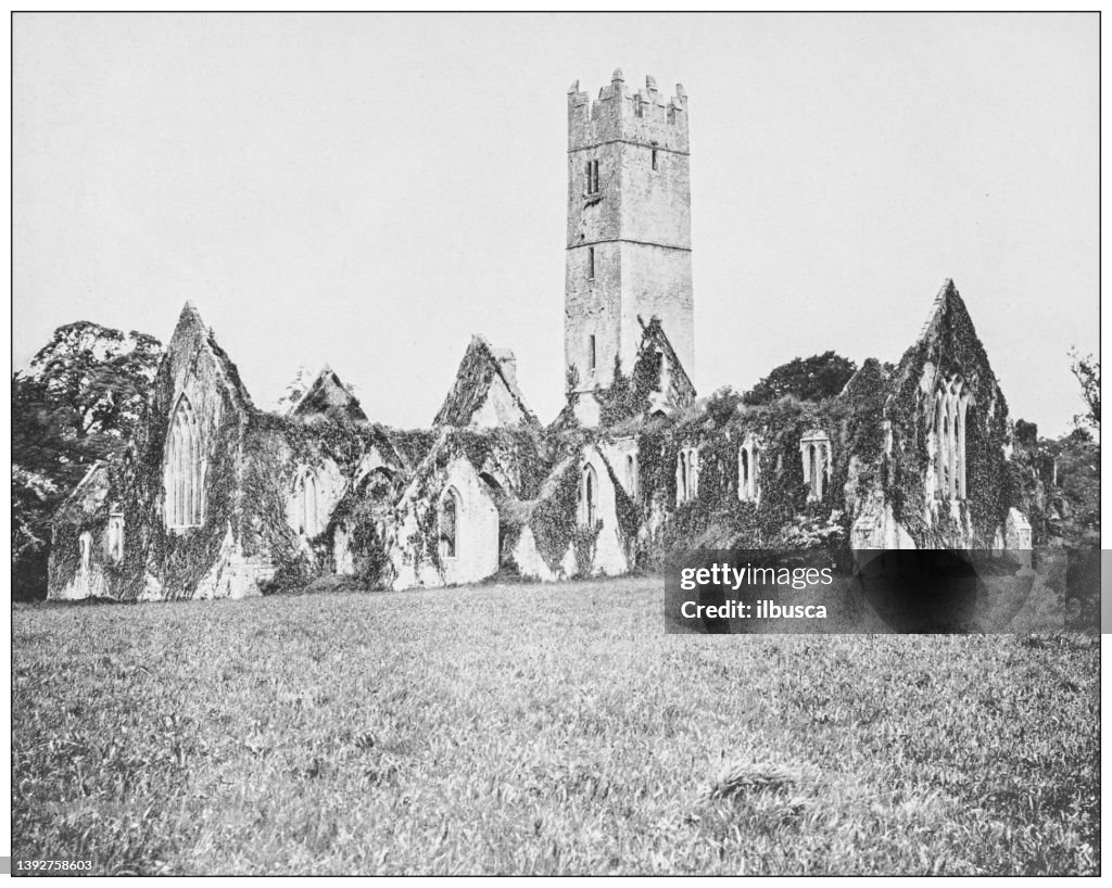 Antique photograph of Ireland: Adare Abbey, County Limerick