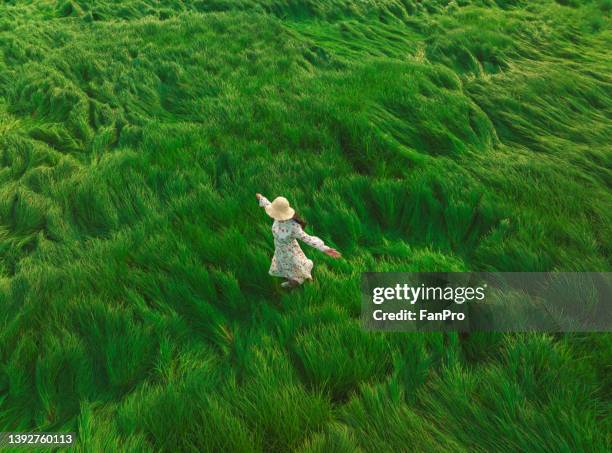 a woman is dancing on the grassland in spring - field aerial stock-fotos und bilder