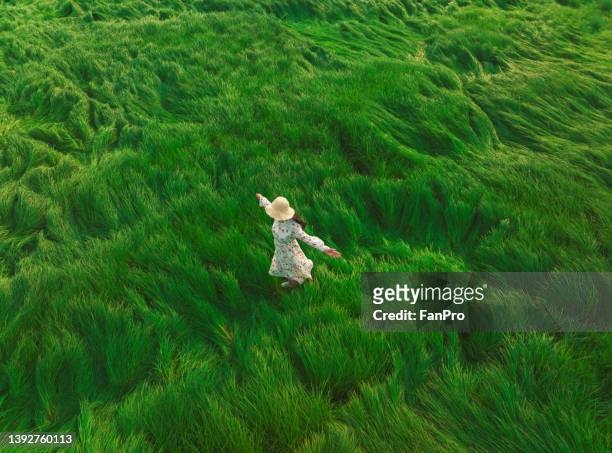 a woman is dancing on the grassland in spring - innocuous stock pictures, royalty-free photos & images