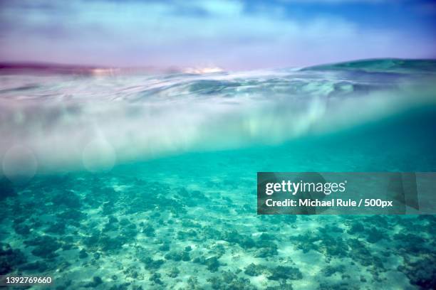 half underwater view of clear blue ocean water,exmouth,western australia,australia - half underwater stockfoto's en -beelden