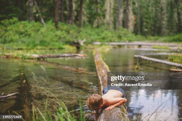 kleiner junge balanciert auf baumstamm über strom im wald - vulnerable children stock-fotos und bilder