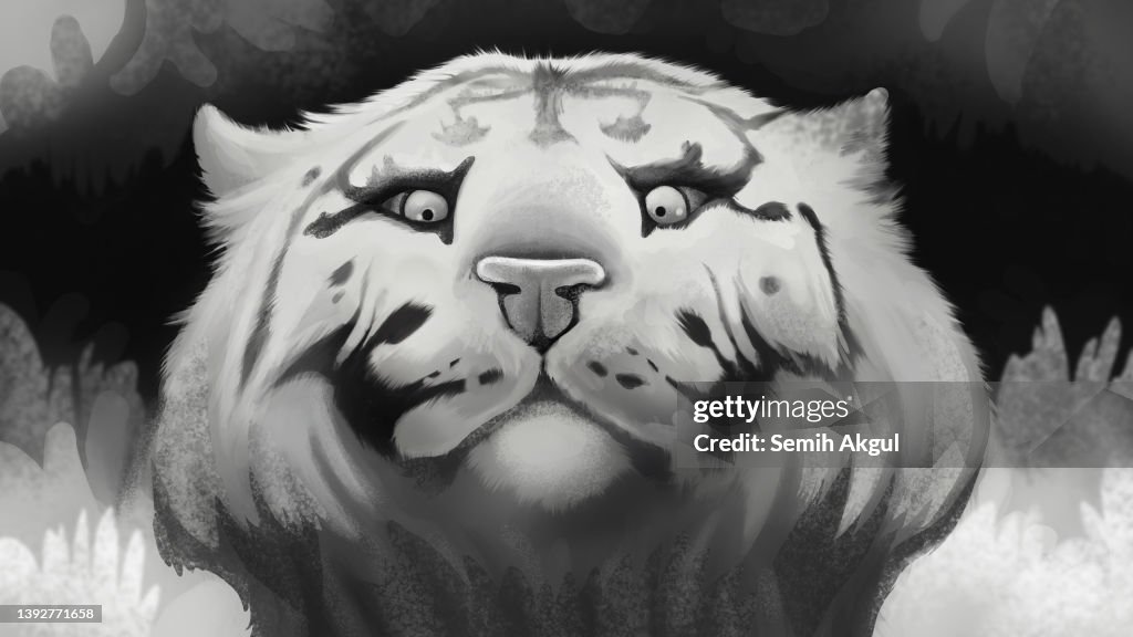 White Tiger Looking At Camera Black and White Illustration