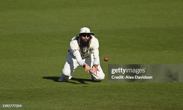 Hashim Amla of Surrey takes the catch of James Hildreth of Somerset during Day One of the LV= Insurance County Championship match between Surrey and...