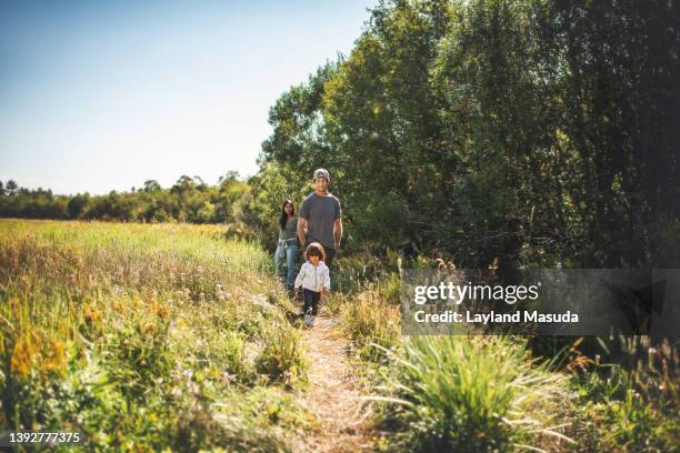 family hike with walking toddler - goldenrod stock pictures, royalty-free photos & images