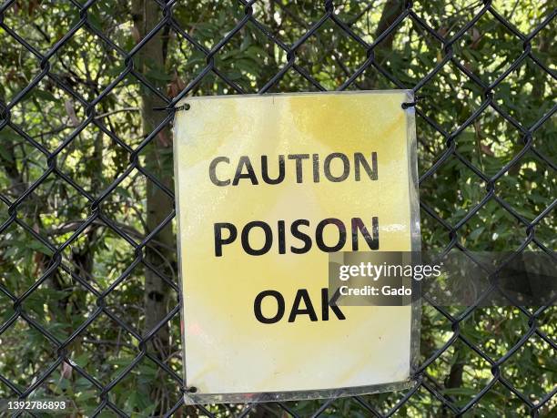 Close-up of a printed sign reading Caution Poison Oak in a nature area in Lafayette, California, April 15, 2022. Photo courtesy Sftm.
