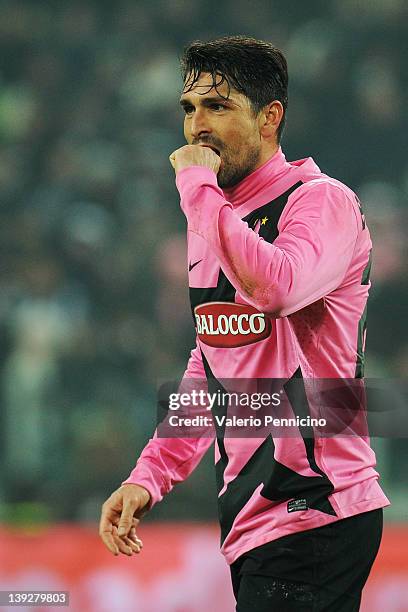 Marco Borriello of Juventus FC reacts during the Serie A match between Juventus FC and Catania Calcio at Juventus Arena on February 18, 2012 in...