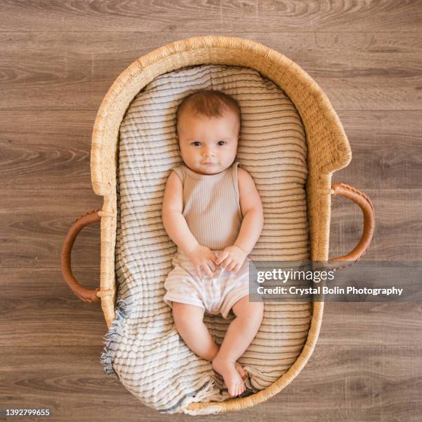 a 17 week old baby boy looking up while laying in a cozy cream cotton blanket in a seagrass moses basket - beige shorts stock pictures, royalty-free photos & images