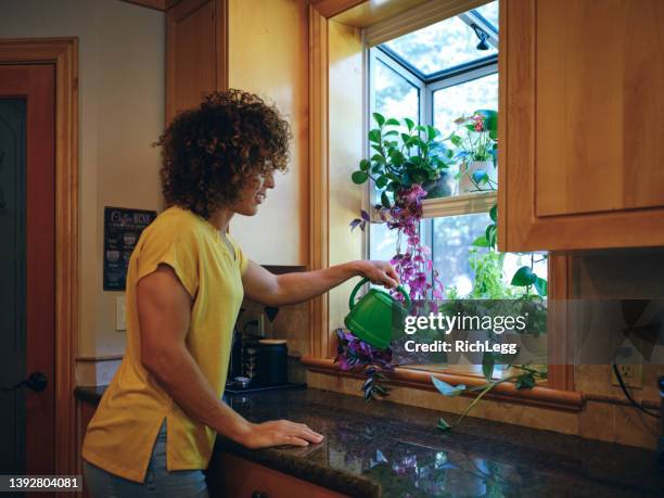 woman tending to a herb garden in a kitchen - window sill 個照片及圖片檔