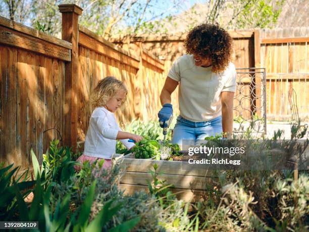 woman in a backyard garden - garden of dreams foundation press conference stockfoto's en -beelden