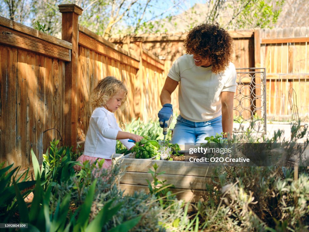 Woman in a Backyard Garden