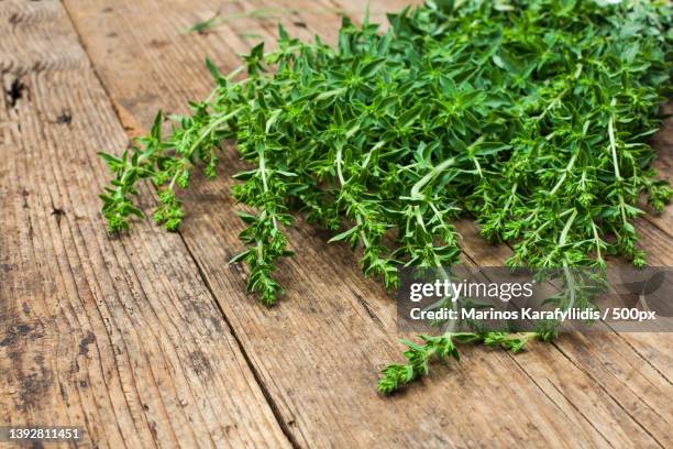 bunch of oregano,high angle view of plants on table,greece - origano foto e immagini stock