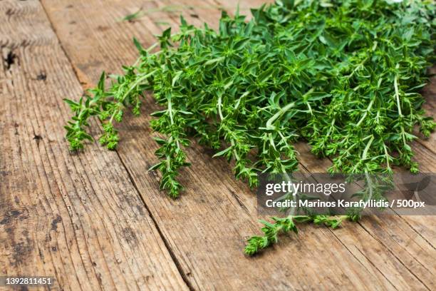 bunch of oregano,high angle view of plants on table,greece - wilde marjolein stockfoto's en -beelden