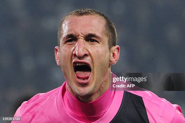 Juventus' defender Giorgio Chiellini celebrates after scoring during the Italian Serie A football match between Juventus and Catania at the Juventus...