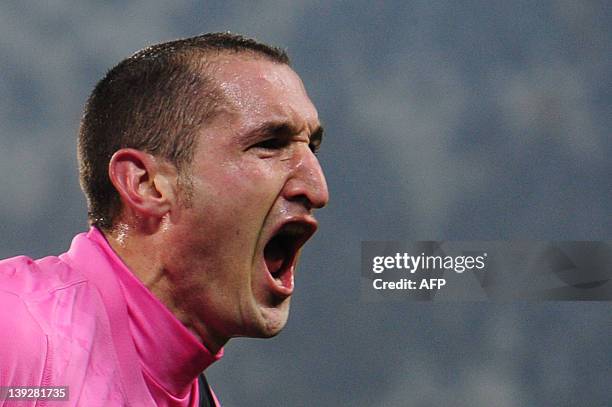 Juventus' defender Giorgio Chiellini celebrates after scoring during the Italian Serie A football match between Juventus and Catania at the Juventus...