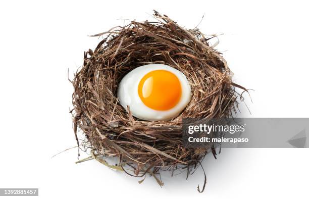 fried egg in the nest - mogelijk stockfoto's en -beelden