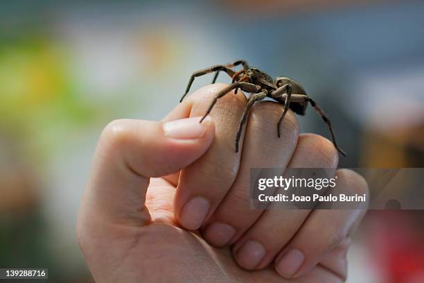 Hand Injecting Spider Spider An Hand Photos and Premium High Res Pictures - Getty Images