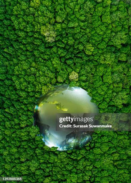 concept of earth protection day or environmental protection hands to protect the growing forest - earth day globe stock pictures, royalty-free photos & images