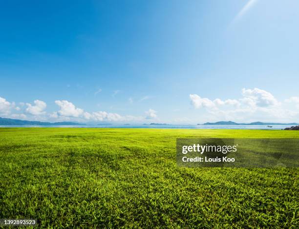 lawn by the sea - horizon over land fotografías e imágenes de stock