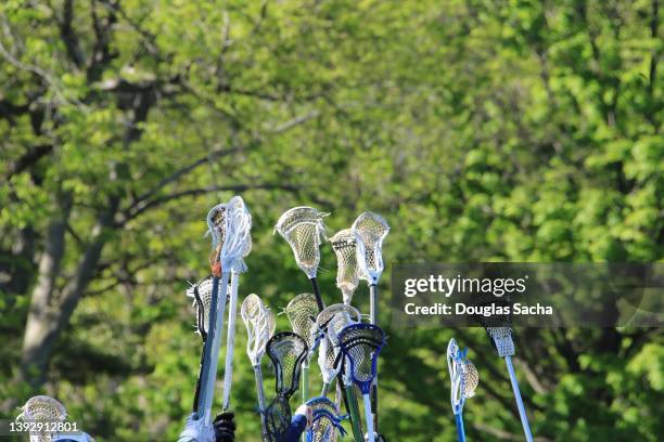 lacrosse players saluting the after scoring - lacrosse stick stock pictures, royalty-free photos & images