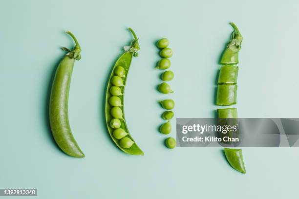 green pea against green background symbolizing healthy eating lifestyle - peul stockfoto's en -beelden