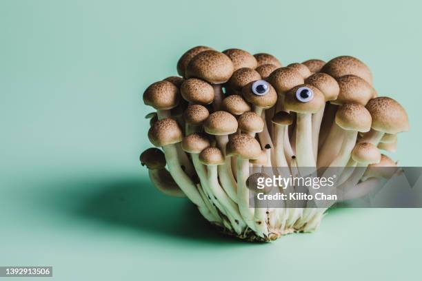 shimeji mushroom  with googly eyes against green background - google eyes stock pictures, royalty-free photos & images