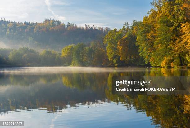 autumn morning at lake thal near graz, styria region, austria - thal austria stock pictures, royalty-free photos & images