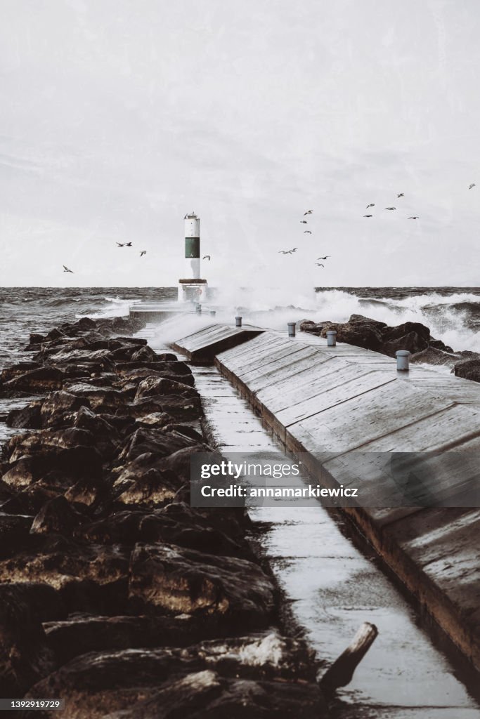 Birds flying around lighthouse near Holland Harbour, Lake Michigan, USA